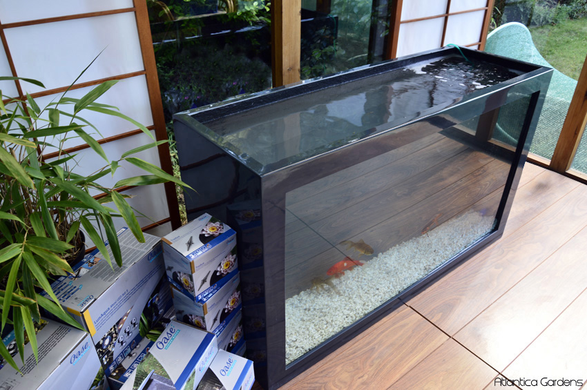 Small Modern Ponds with windows (Outdoor Aquariums) | Atlantica Gardens